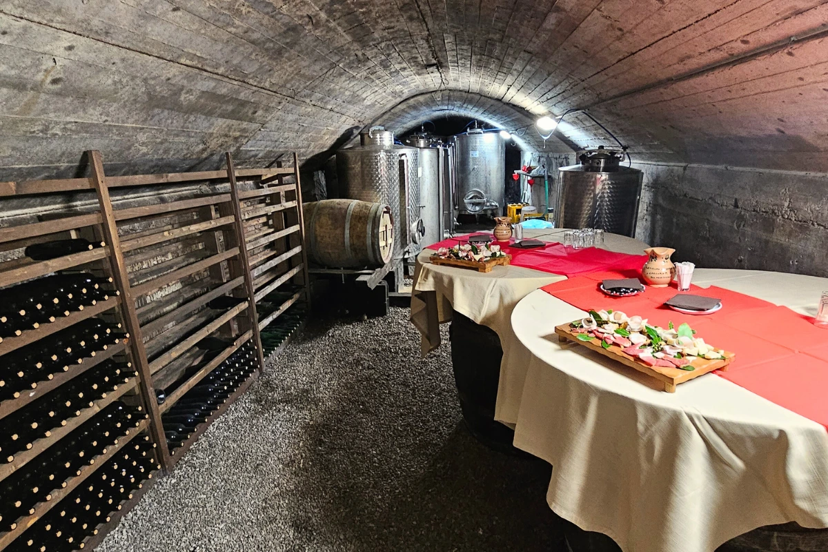 Wine cellar - Aperitif with natural wine Christmas Eve