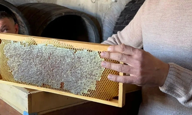 Laboratorio e Degustazione di Miele