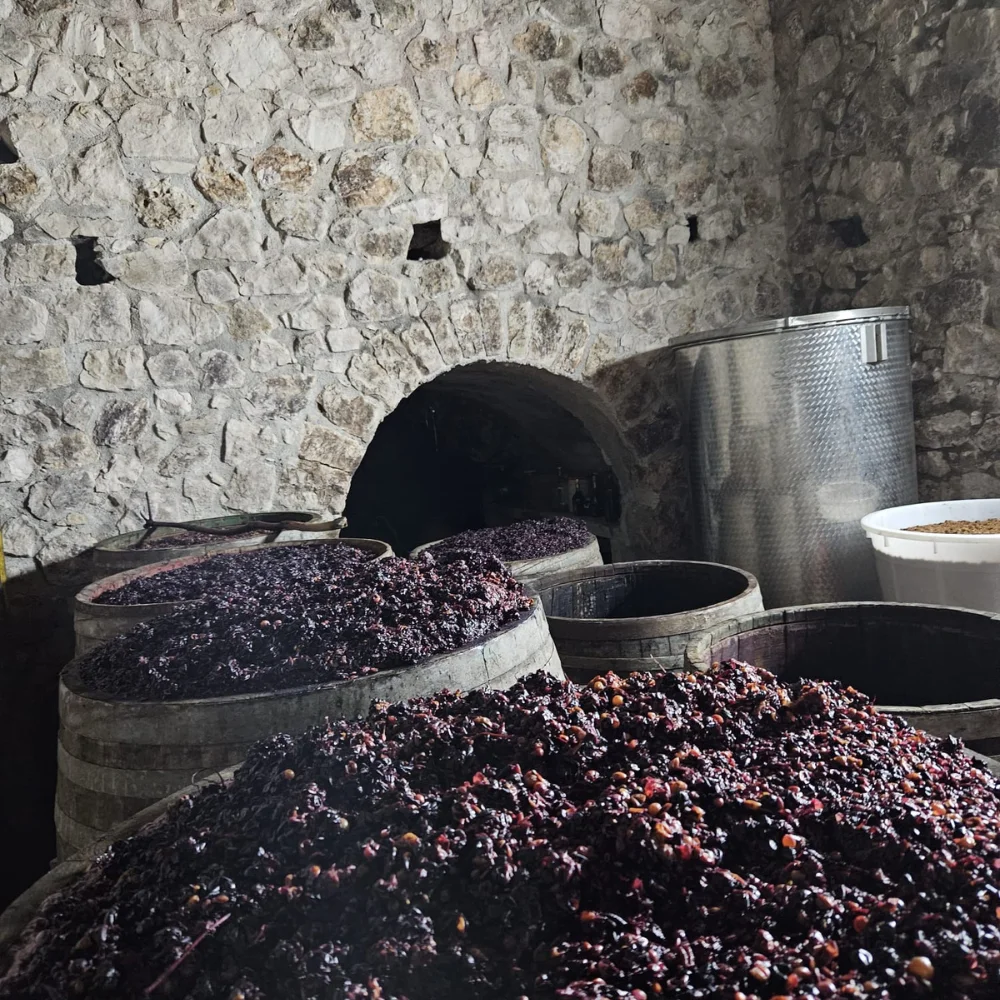 Vino naturale della casa per pranzo di Pasqua